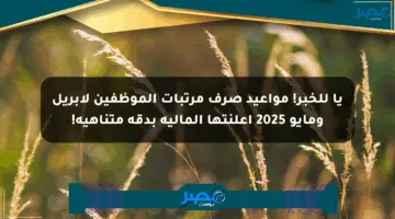 يا للخبر! مواعيد صرف مرتبات الموظفين لأبريل ومايو 2025 أعلنتها المالية بدقة متناهية!